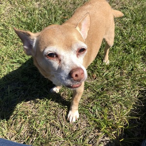 Team Page: Team Labamba 250.00